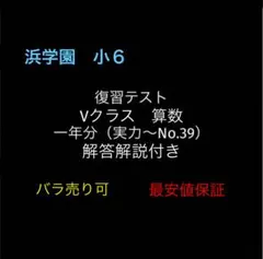 浜学園 小6 算数 Vクラス 復習テスト 実力テスト〜No.39 解答解説付き