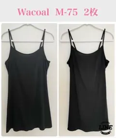 Item thumbnail for item 94fbafa5-f7e1-46b6-8228-9902c59aff69