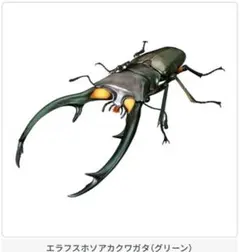 新品未開封　クワガタ02 エラフスホソアカクワガタ　グリーン
