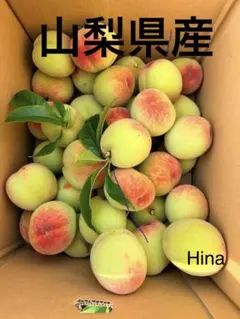 山梨県産 かりかり硬いモモ 6キロ クール便 - メルカリ