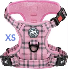 Item thumbnail for item 2ba24e39-8fab-4dfb-9875-59429e5a649e