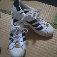 Item thumbnail for item 144efec3-f865-48be-9ddc-f4e6f7b557c0