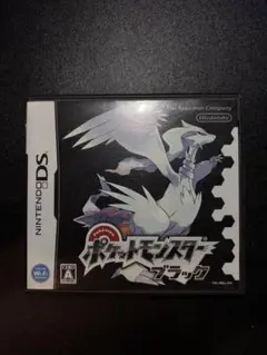 ニンテンドーDS ポケットモンスター ブラック BW