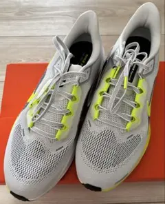 Item thumbnail for item 8b29935d-3998-489e-b295-cde6718af18d