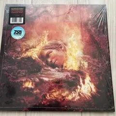 PUNPEE クロノトリガー 4800日後 アナログ盤 レコード - メルカリ