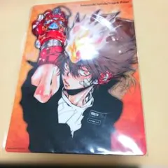 家庭教師ヒットマンREBORN! 両面下敷き