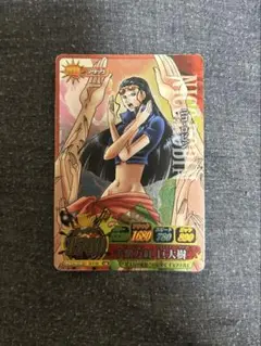 ワンピース　トレジャーワールド　ロビン