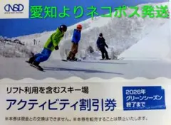 日本駐車場開発 株主優待 スキー場 アクティビティ割引券 リフト券 1枚