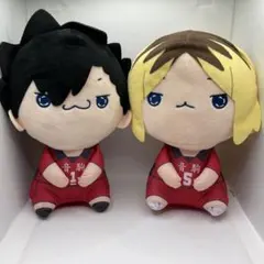 ハイキュー 孤爪研磨 黒尾鉄朗 もちぴこぬいぐるみ 音駒 マスコット