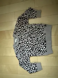 Item thumbnail for item 2c1e2d8c-1669-4e50-a45e-dc4930396c1c