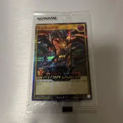 真紅眼の黒竜　レッドアイズ　シークレット　RED 赤字　limit1