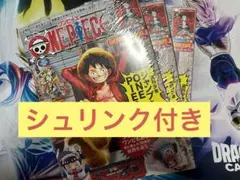 ヒ*ロ様 ONE PIECE MAGAZINE 20号 シュリンク付き×3冊