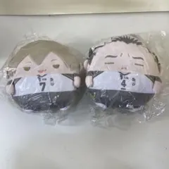 ハイキュー!! くじメイト C賞 ふわコロりん 2点セット b0133 ハイキュー!! くじメイト C賞 ふわコロりん 2点セット b0133 - メルカリ