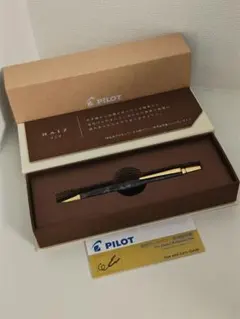 【株主限定・非売品】パイロット RAIZ ライズ 高級ボールペン 美品 箱付き