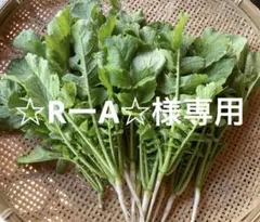 ☆RーA☆様専用