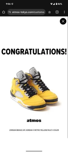 Nike Air Jordan 5 Retro 