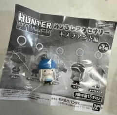 ハンターハンターめじるしアクセサリーキメラアント編カイト