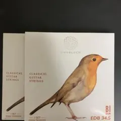 Item thumbnail for item ef29c580-b9b5-40d0-853a-4a16a14b947b