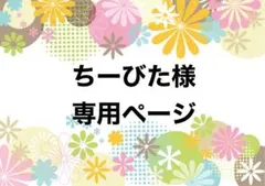 ちーびた様　専用ページ