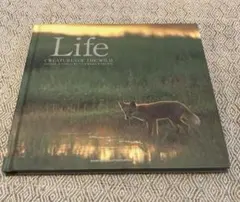 Life creatures of the wild 福田幸広写真集