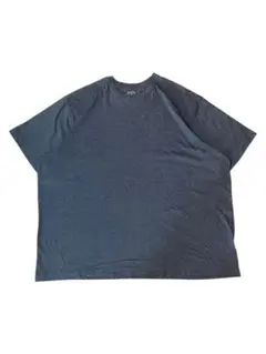 値段交渉可！　BLUE MOUNTAIN 半袖Tシャツ