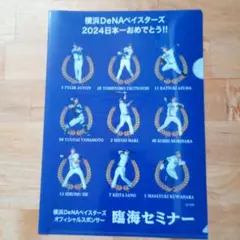 横浜DeNAベイスターズ 2024クリアファイル　臨海セミナー　A4