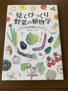 見てびっくり野菜の植物学