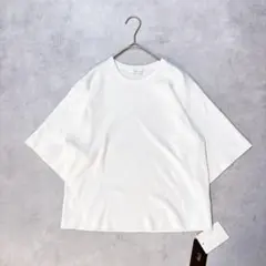 【新品タグ付】Plageプラージュ knitTシャツ ホワイト プルオーバーのサムネイル