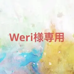 Weri様確認専用ページ【取り置き中　4月19日迄】