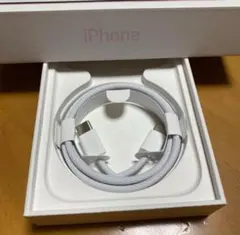 iPhone15 純正イヤホン付属品　タイプCtoCケーブル