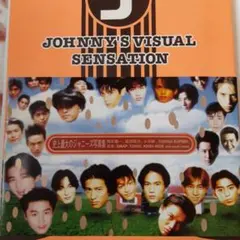 90年代JOHNNY'S VISUAL SENSATION　レア物