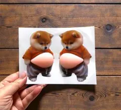 柴犬　おなかぷにぷにシール2枚　立体3D　ぷっくりお腹のいぬ　雑貨