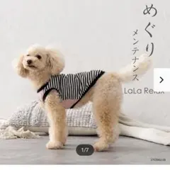 LaLaRelax サマーボーダー ブラック×ピンク 犬服のサムネイル