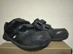 Item thumbnail for item 6074076c-04bb-4bce-8c4a-bacabbda8b95