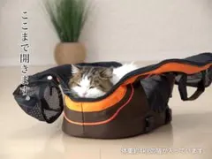犬猫用　キャリーバッグ　リュック