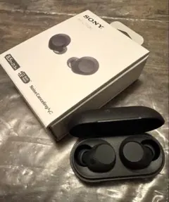 ソニーワイヤレスイヤホン