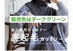 裏起毛 Tシャツ