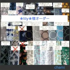 3/21*24 ★lily★様専用 B6 マルチケース ミナペルホネン