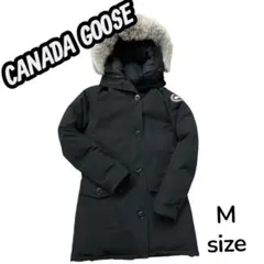 Item thumbnail for item aaa040c1-ec8e-4705-a72b-3a17d335584c