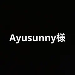 Ayusunny様 専用 説明書