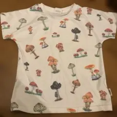 きのこ：Tシャツ：120：gym master