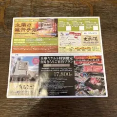 有馬温泉 太閤の湯 特別優待券・宿泊プラン割引券　２枚