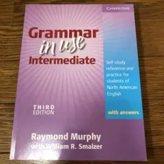 Grammar in Use Intermediate 第3版