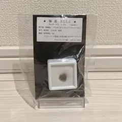 Item thumbnail for item ae7c973c-63b1-48c2-b69c-cfdf4a2835da