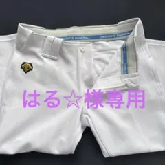DESCENTE 野球パンツのサムネイル