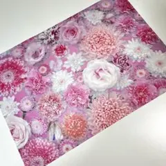 Item thumbnail for item 472e3a6a-e620-46eb-b40e-26dd1915af21