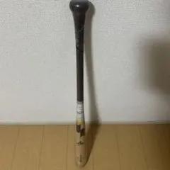 Item thumbnail for item 7430d701-2b80-417a-8705-84eafe172f7c