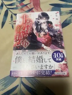 十番様の縁結び 6 神在花嫁綺譚