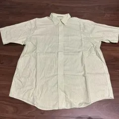 半袖シャツ l.l.bean エルエルビーン ストライプ ミントグリーンのサムネイル