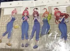 五等分の花嫁 らいはコーデ アクリルスタンド　5種セット